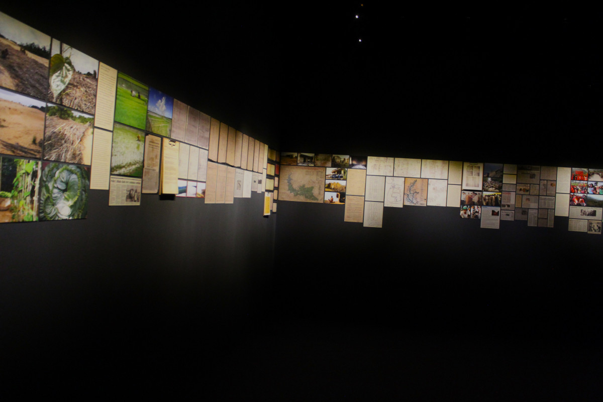 The Sovereign Forest, Nepal art council, 2080-09-22 (14).JPG