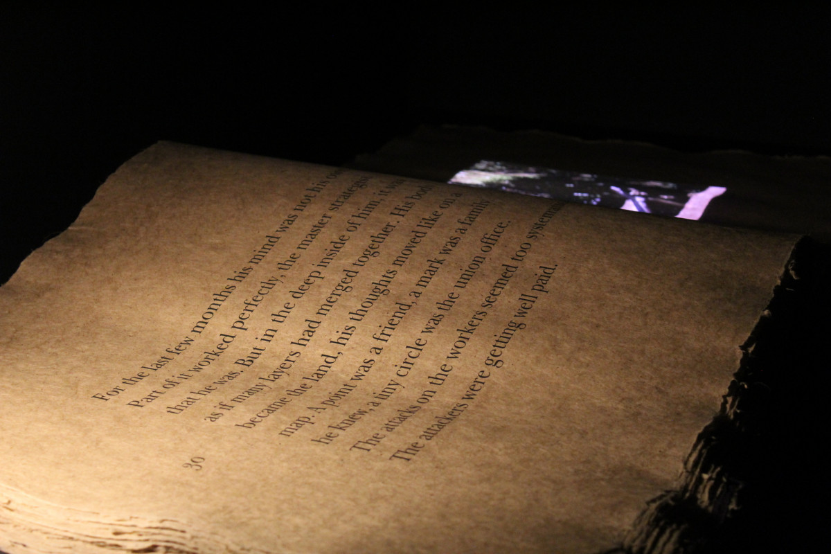 The Sovereign Forest, Nepal art council, 2080-09-22 (10).jpg