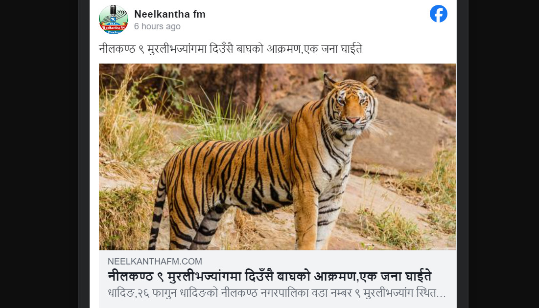 धादिङमा बाघले मान्छे आक्रमण गरेको समाचारको बास्तविकता के हो ?